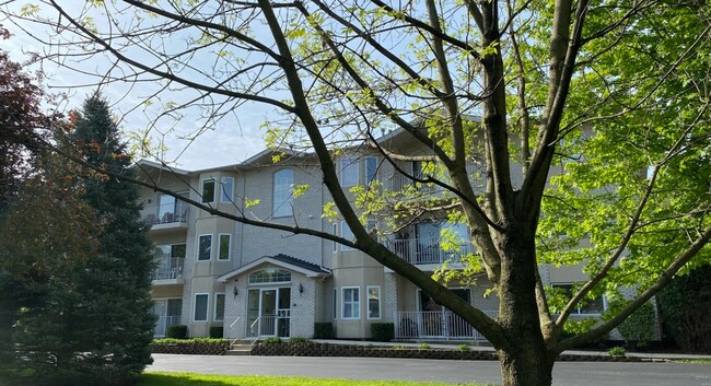 Primary Photo - 927 Elderberry Cir