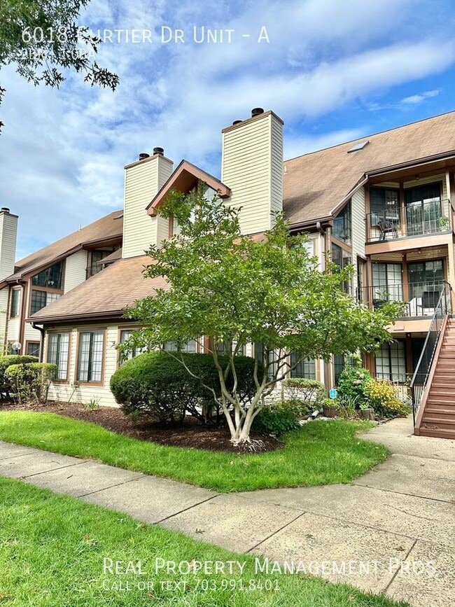 Primary Photo - 6018 Curtier Dr
