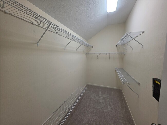 Building Photo - 2954 Smokey Forest Ln