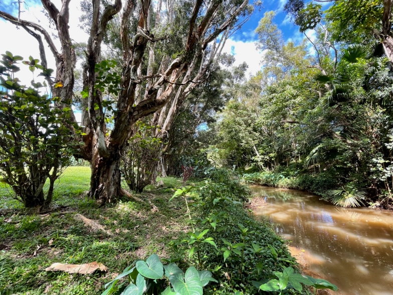 Building Photo - 6065A Kolopua St