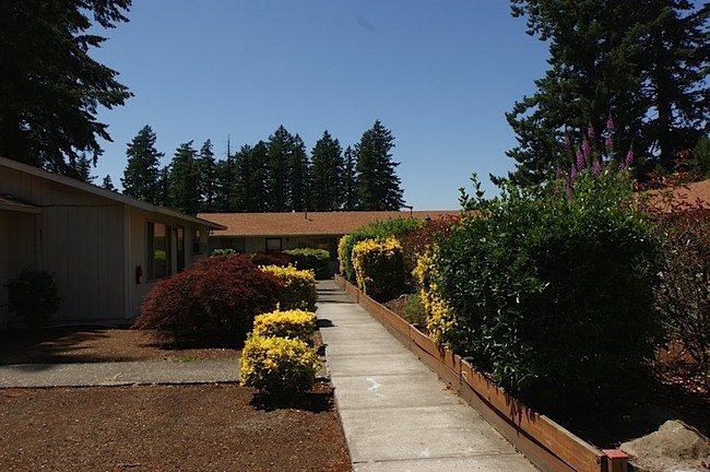 Building Photo - Surrey Square Apartments