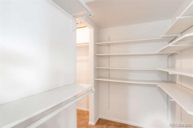 Building Photo - 1469 Serenity Cir