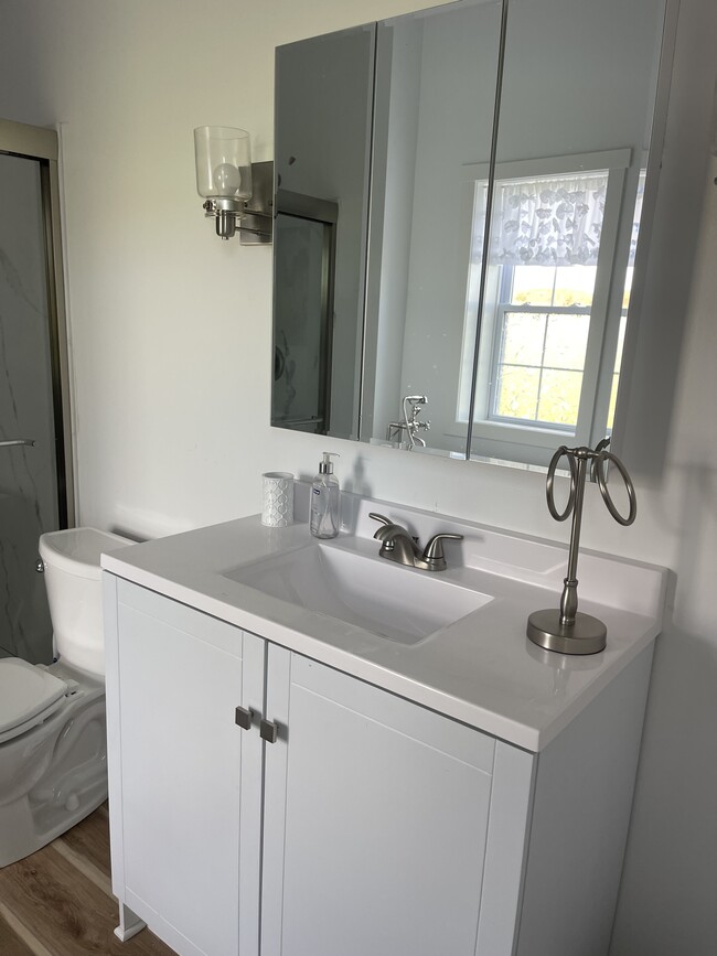 Master bath vanity bathroom includes soaker tub, 12 foot ceilings, beautiful walk in shower and toil - 13440 Perry Ln