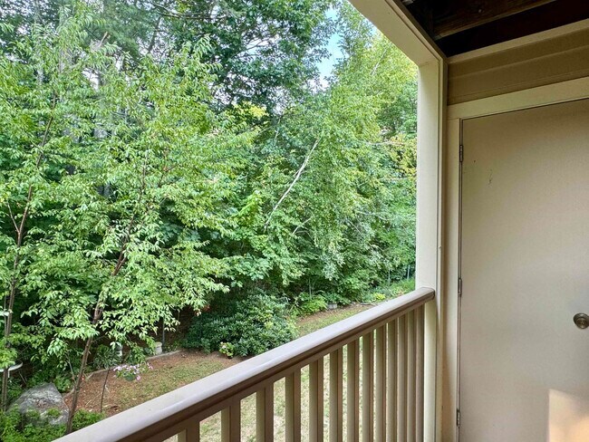 Building Photo - 19 Saco St