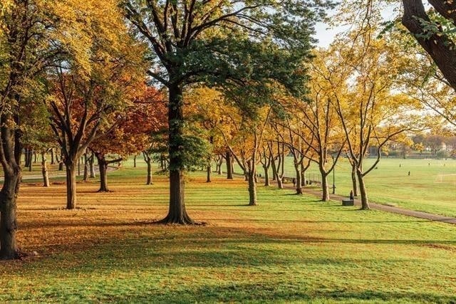 Building Photo - 45 Gautier Ave