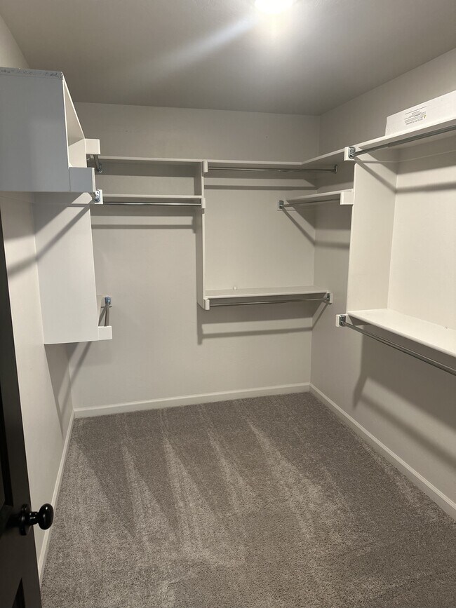 Building Photo - 2229 Roca Dr
