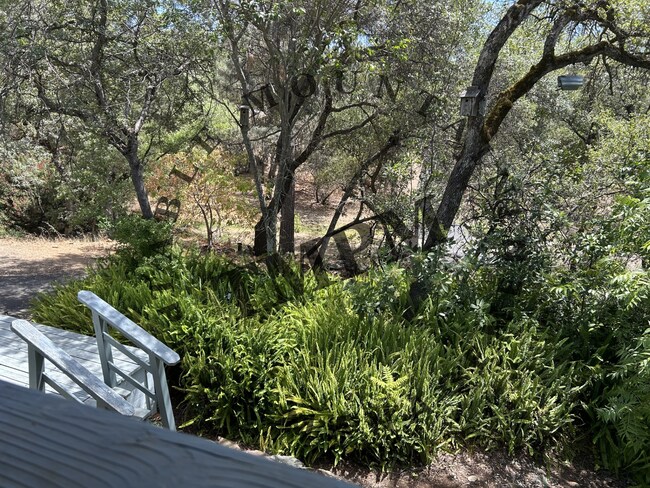 Building Photo - 373 Lodgeview Dr