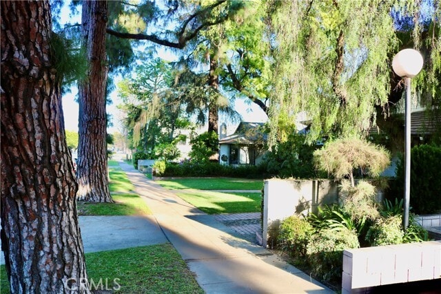 Building Photo - 1151 Pine St