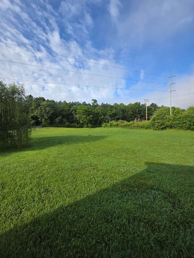 Building Photo - Fenced in 4 Bed /2 Bath House in Ringgold