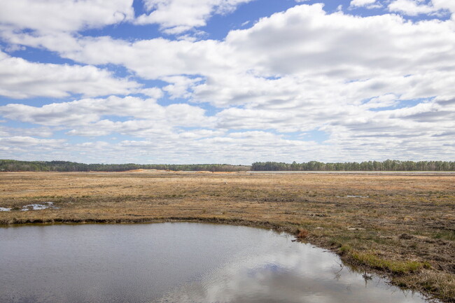 Building Photo - "Modern 3-Bedroom Home with 3 Full Bathrooms and Spacious Living Areas in Vass, NC!"