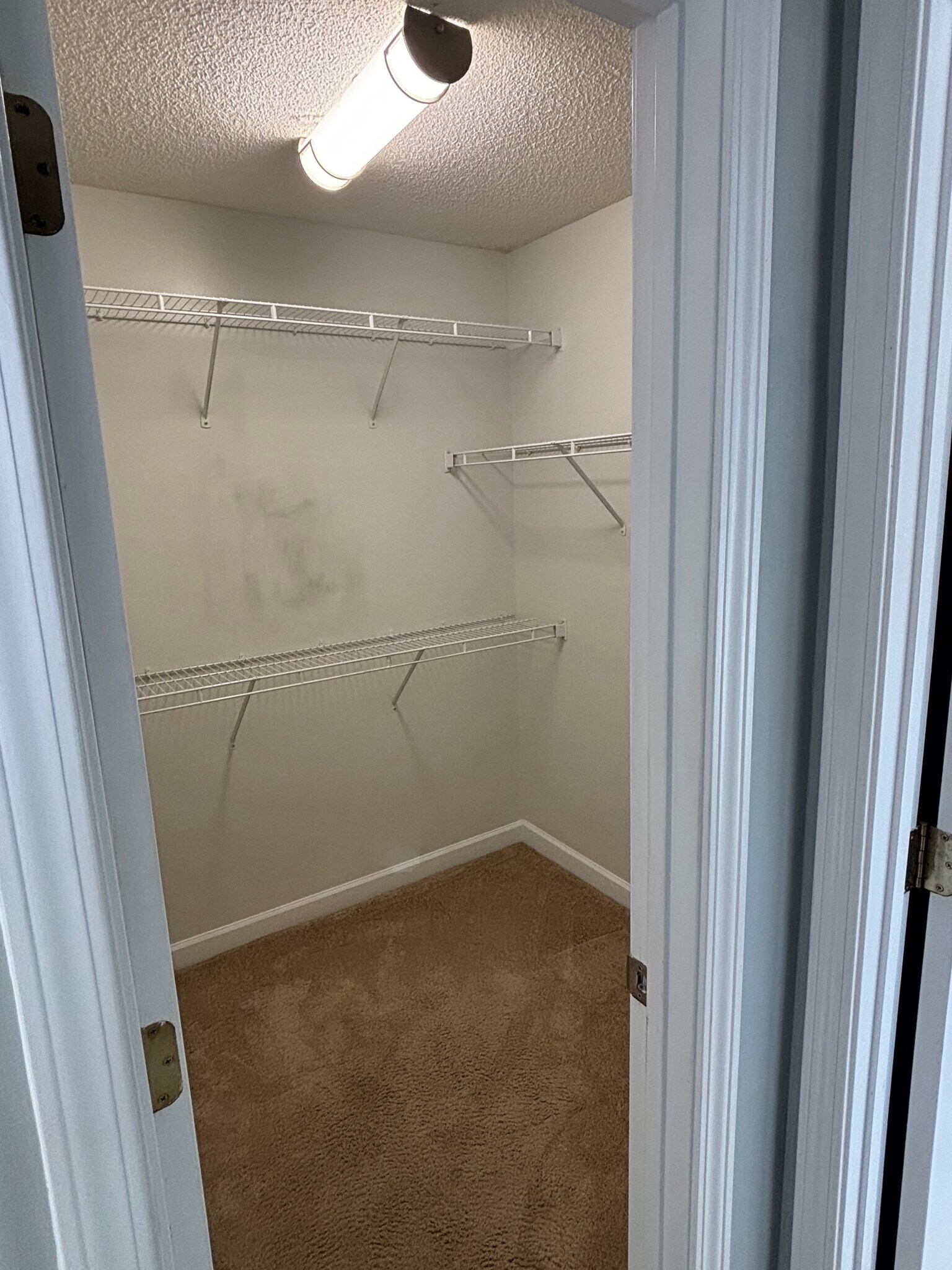 Building Photo - 3806 Cassidy Dr