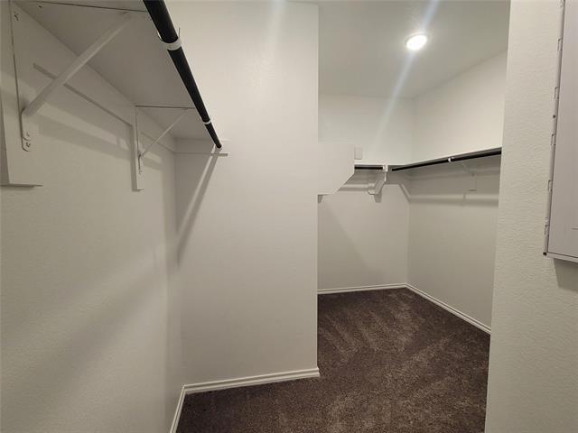 Building Photo - 933 Ravenwood Ln