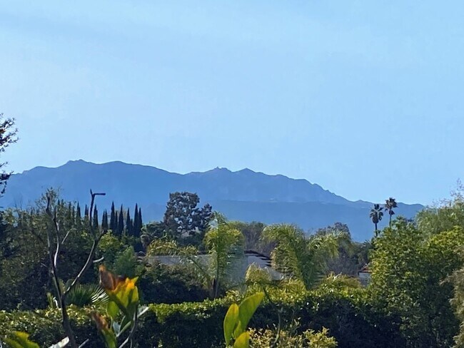 Building Photo - Private Courtyard Entry & Expansive Backyard Oasis