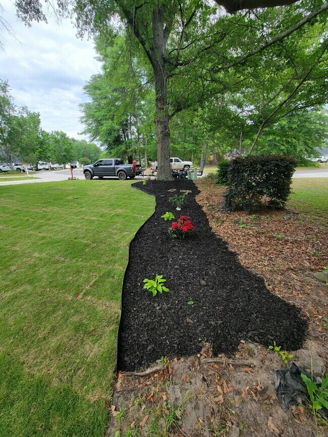 Building Photo - 1256 Watsonia Dr