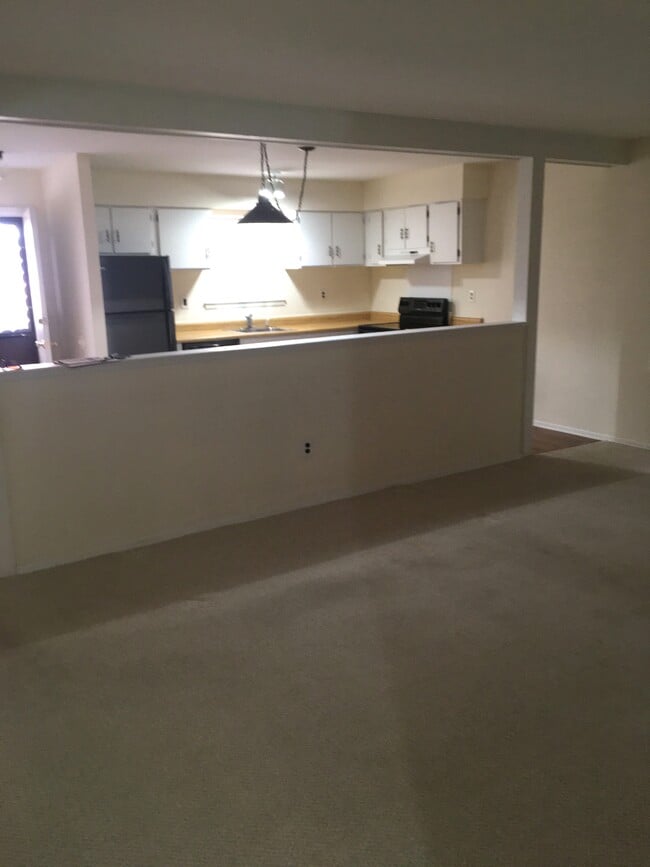 livingroom - 211 Meadow Woods Ln