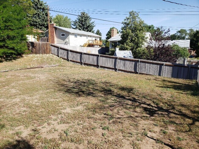 Building Photo - Very nice 4 bedroom, 3 bath home near Palmer Park