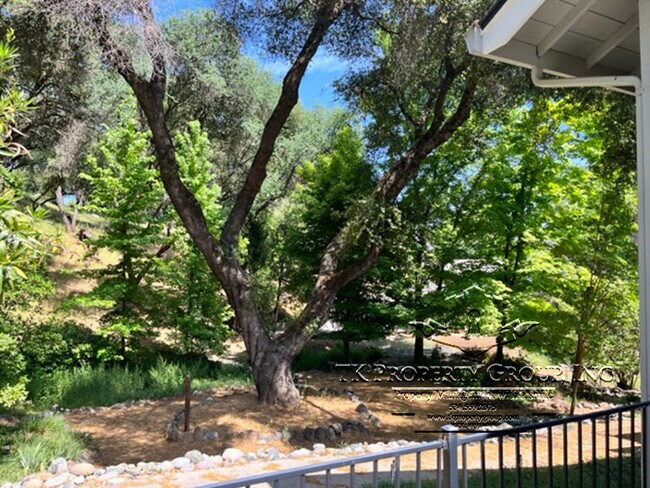 Building Photo - 13285 Sugarbush Ct