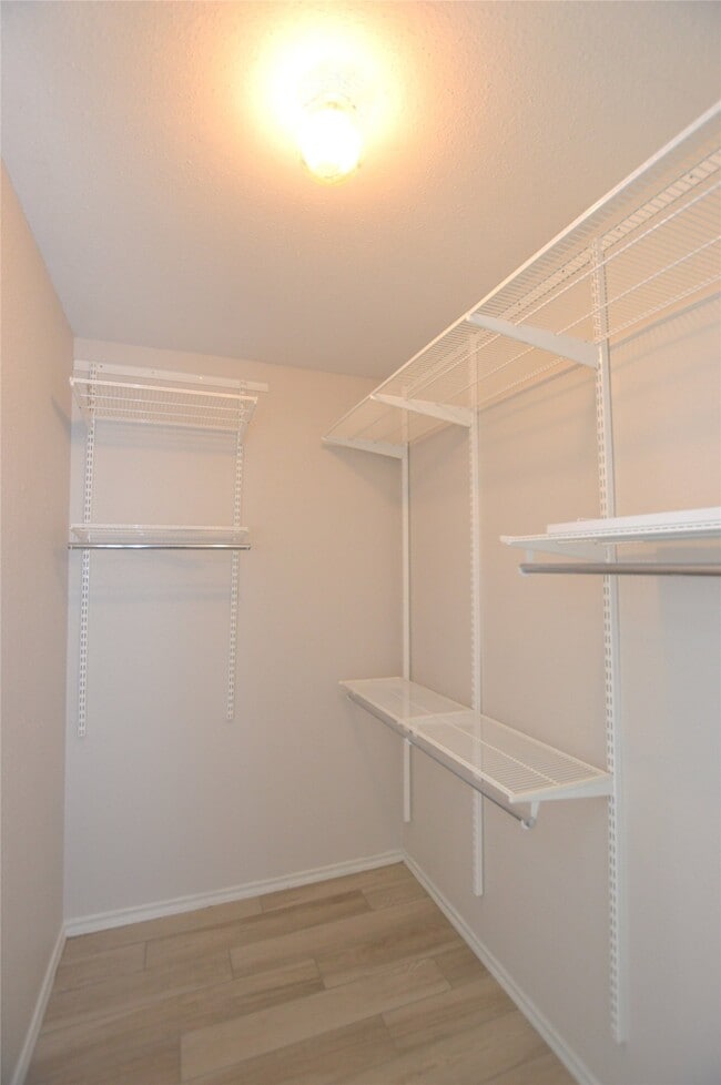 Building Photo - 703 Flower Field Ct