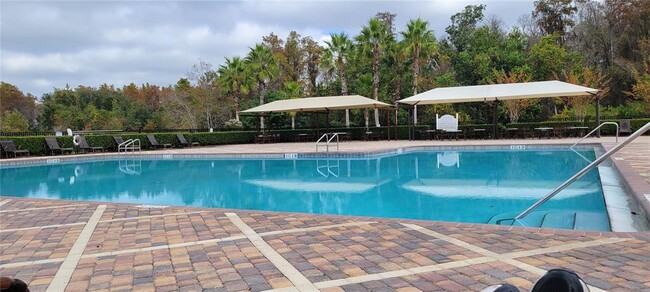 Building Photo - 15226 Pacey Cove Dr