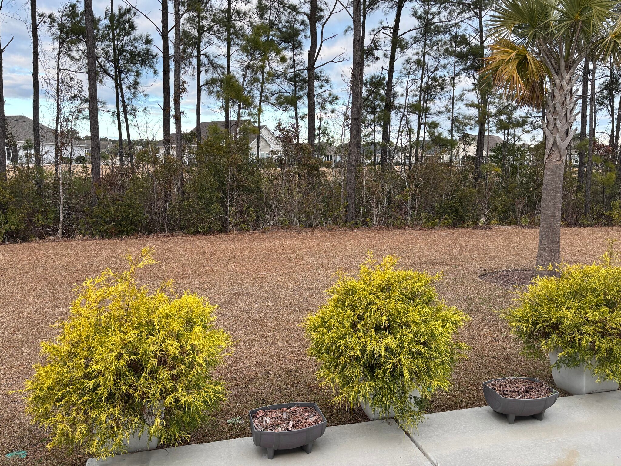 Building Photo - 106A Arnette Dr