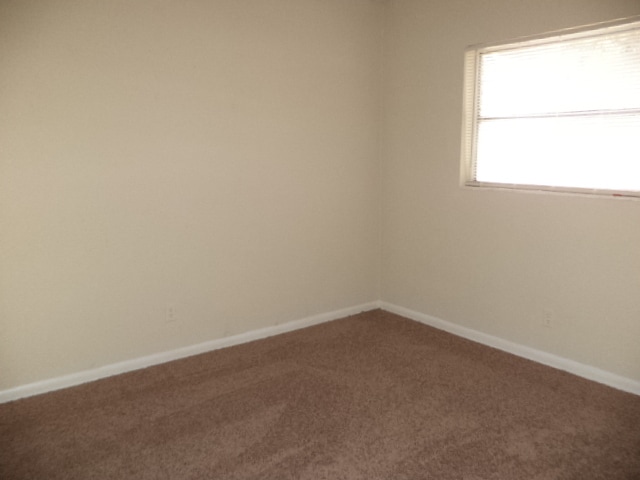 Building Photo - FOREST HILLS - FENCED YARD