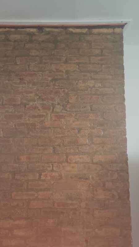 Building Photo - 157 Myrtle Ave