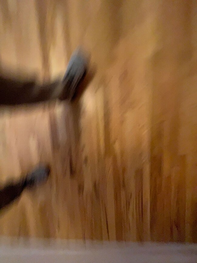 Building Photo - 3 Bed 2 Bath House with Attached 2 Car Garage & Trailer Parking