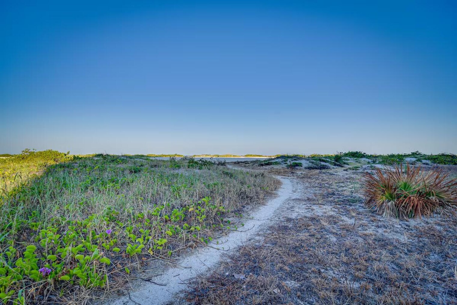 Building Photo - 1290 Gulf Blvd