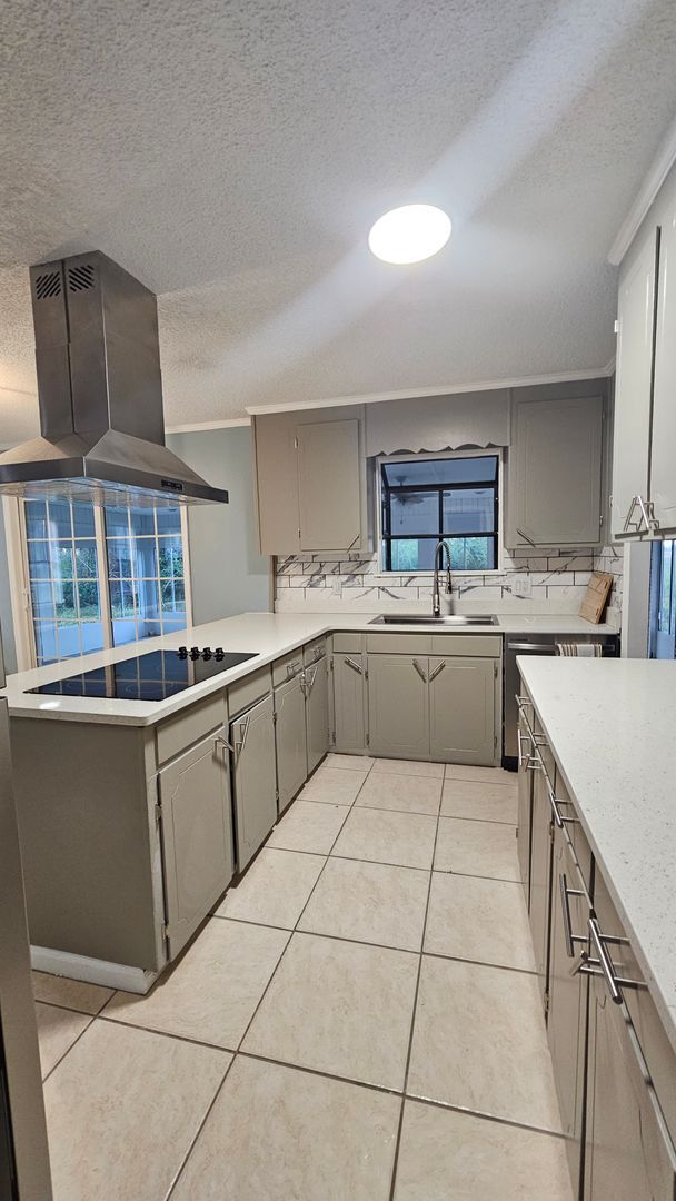 Building Photo - Beautiful 4BR 2BA home in Lakeland, GA