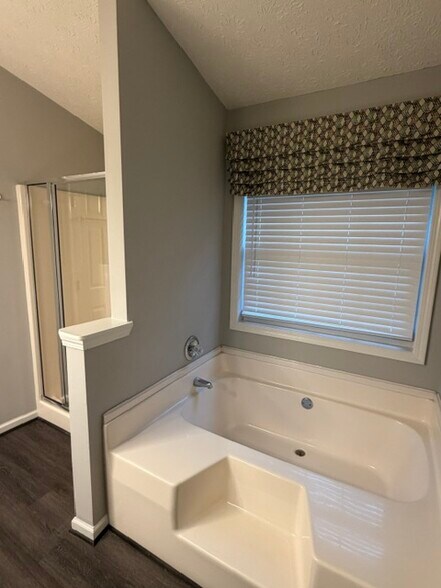 Master Bath 2 - 387 Ayelsbury Ct