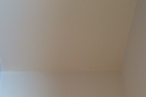 Building Photo - 42 Dunwood Rd