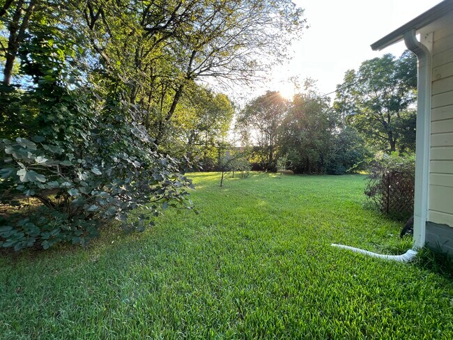 Back Yard - 1631 Rosedale St