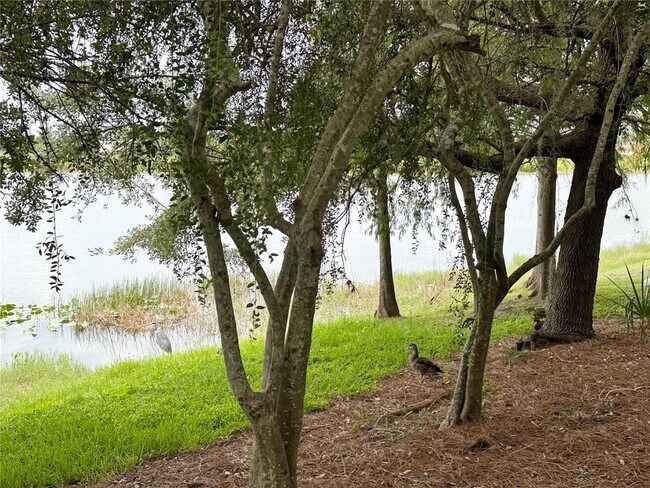 Building Photo - 5036 Shoreway Loop