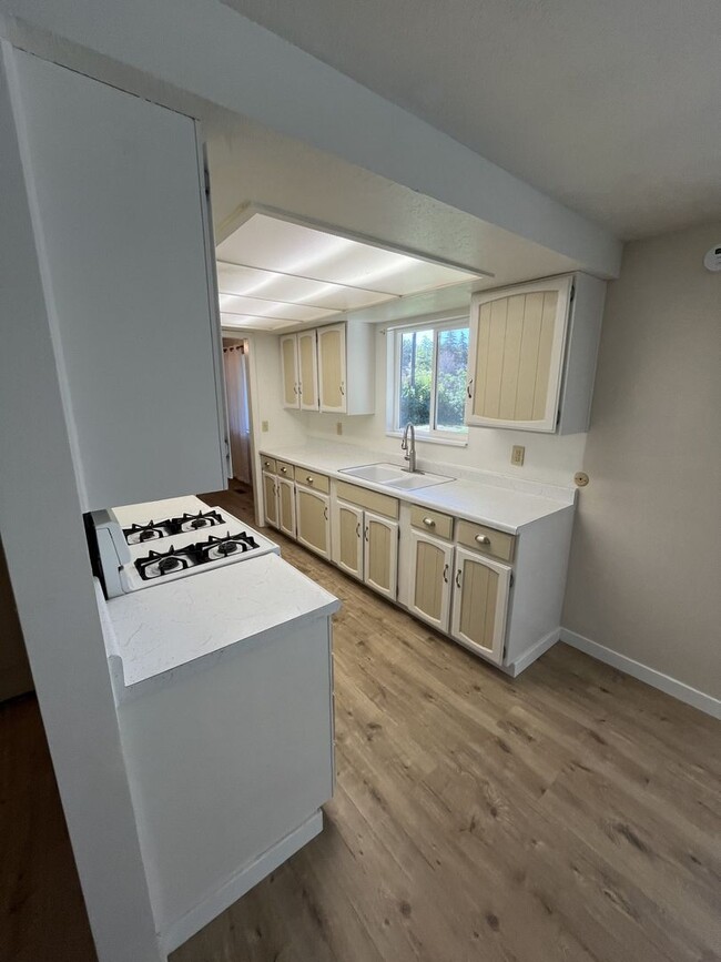 Building Photo - Beautiful Home in Mt Pleasant