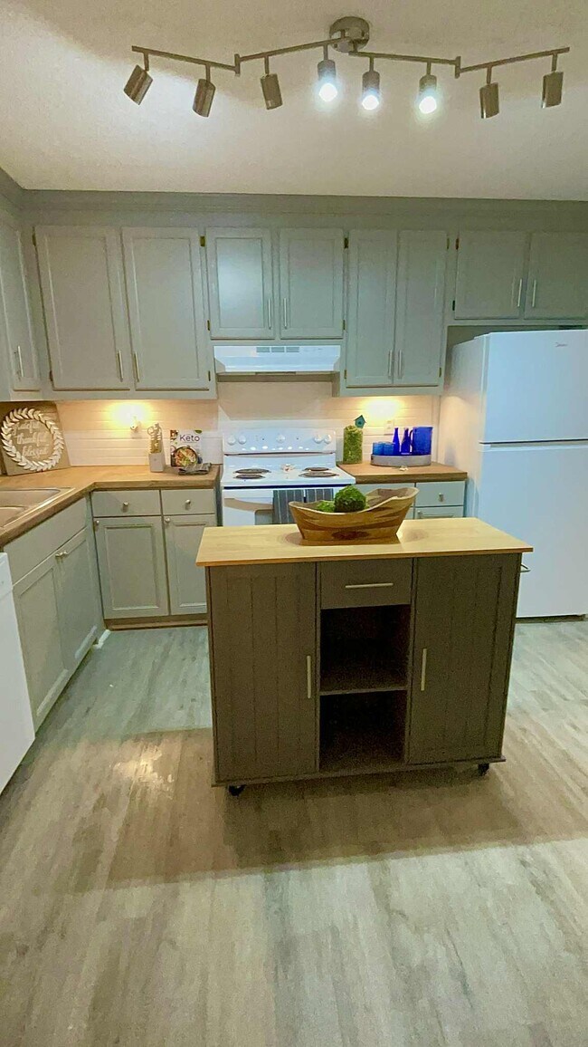 Building Photo - 1117 Sandy Beach Dr