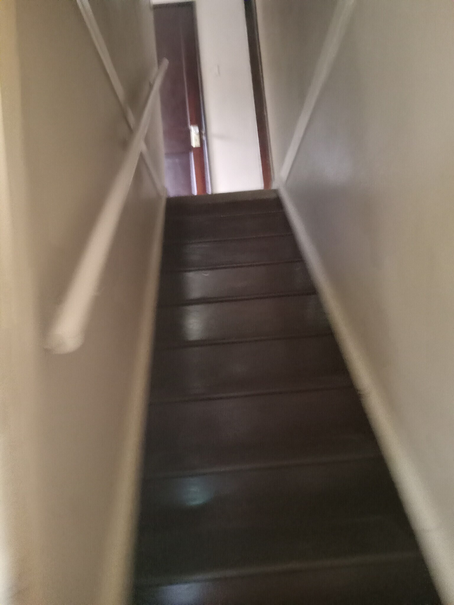 Building Photo - 1007 Frey Rd