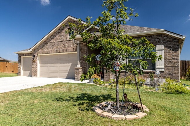 Building Photo - 804 Shrike Ln