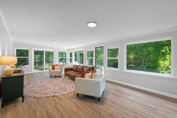Sunroom/Living Room - 1220 Franklin Dr