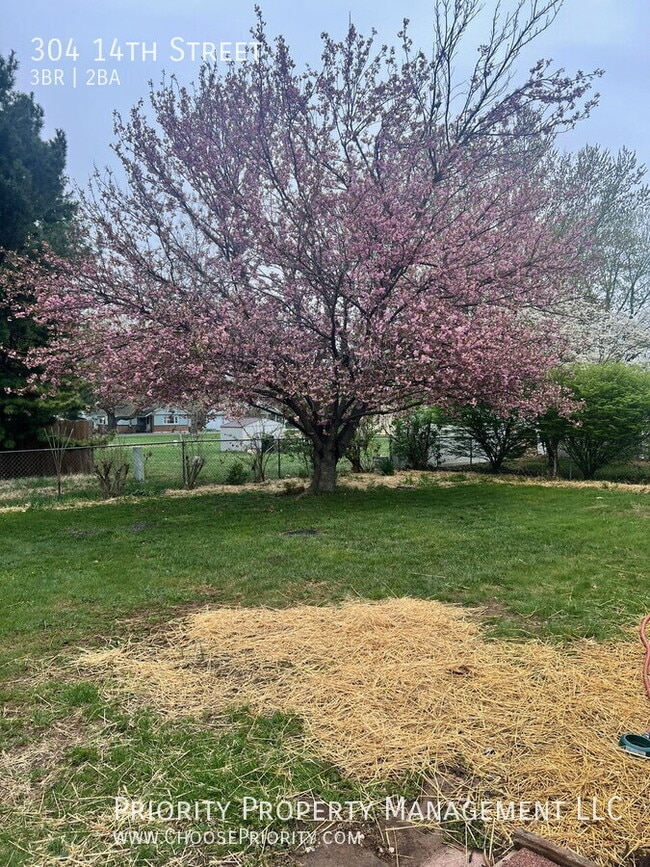 Building Photo - 304 14th St