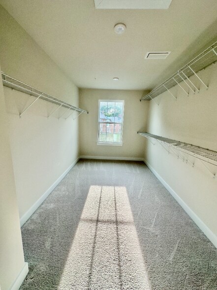 Building Photo - 5311 Striped Maple St