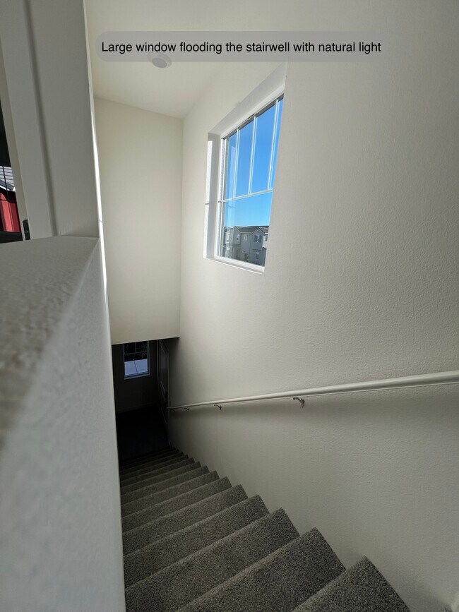 Building Photo - 5632 Molino Cir