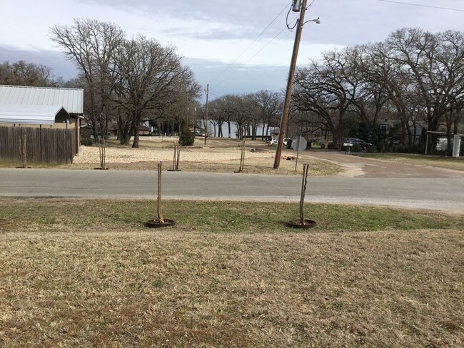 Building Photo - Lake View in Alvarado