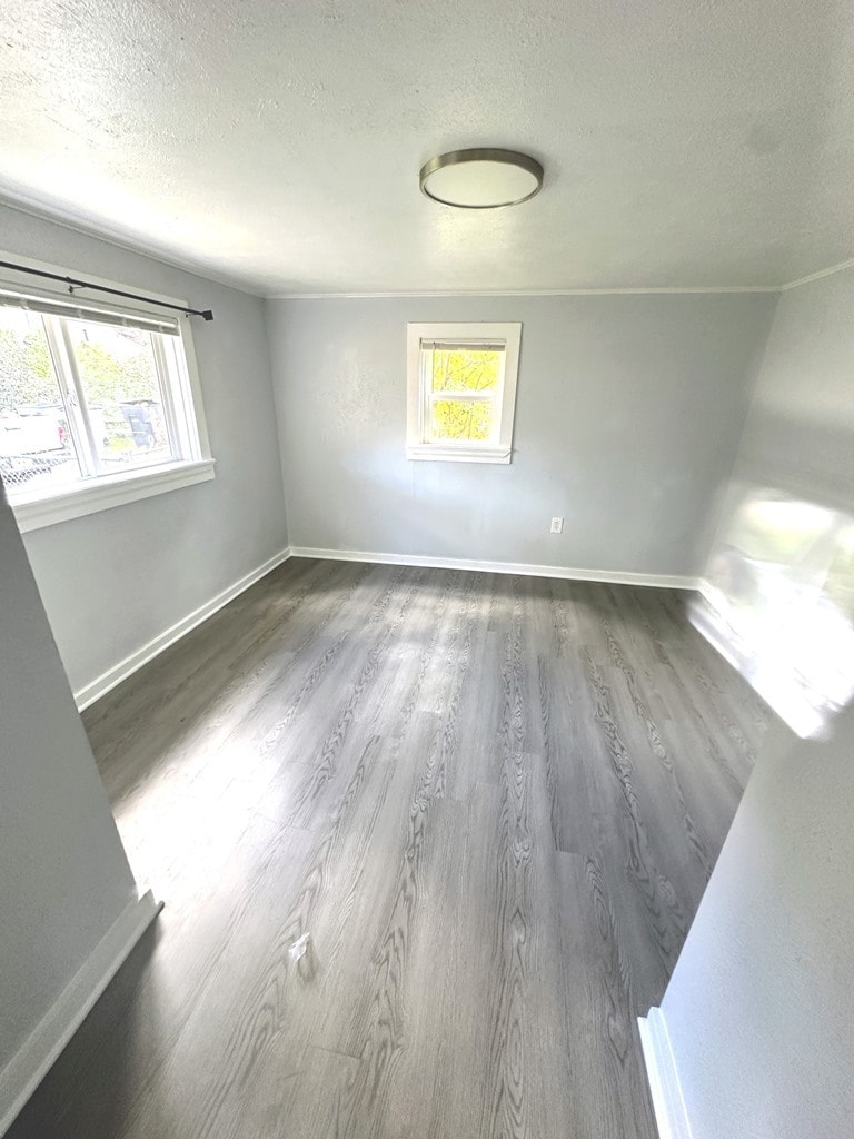 Building Photo - 833 1/2 Bross Street