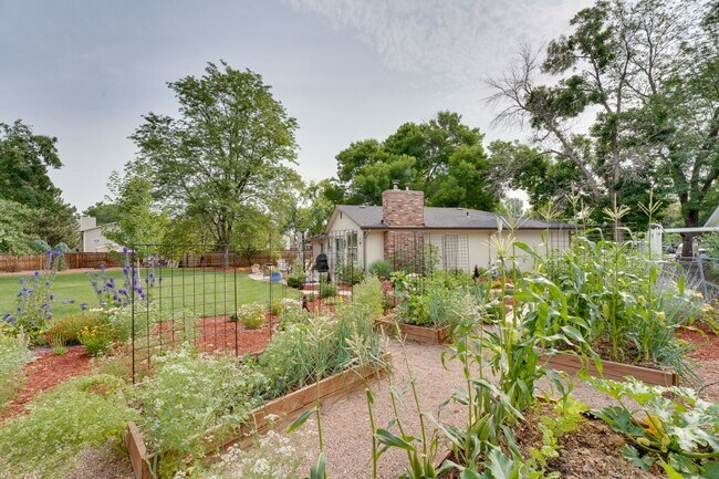 Building Photo - Beautiful 5 bed, 3 Bath House in Central Fort Collins!