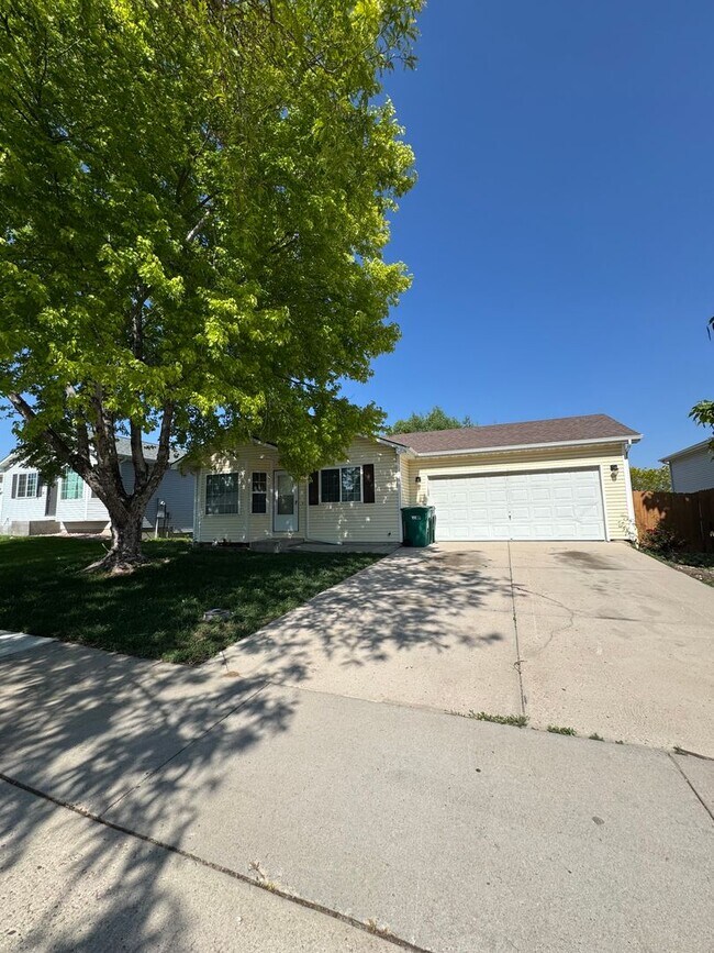 Primary Photo - Beautiful 4 bedroom house avail 6/12