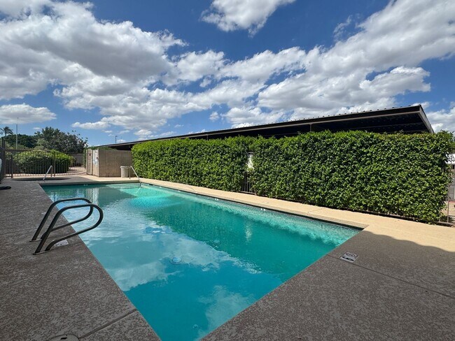 Building Photo - 2 Bedroom in the El Tovar Condominiums Nea...