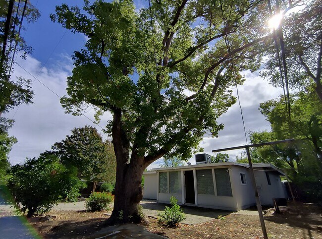Building Photo - Darling Home on Darlene!