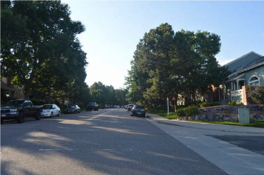 2 Street Scene - 2941 W Long Dr