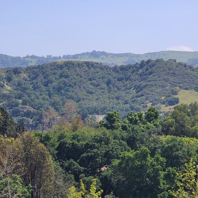 Building Photo - 1200 Lasso Way