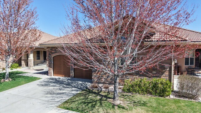 Building Photo - Great Home in Loveland